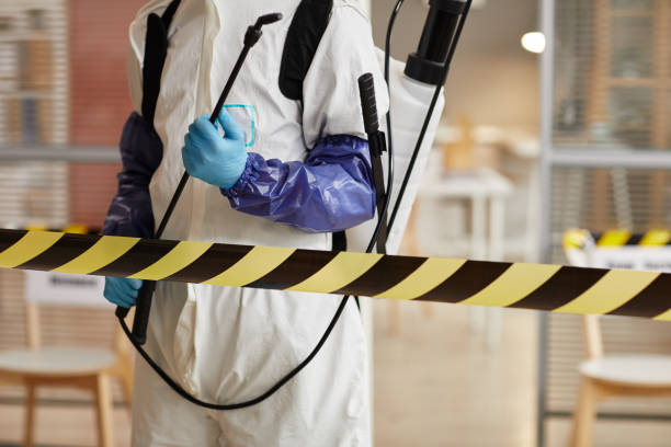 Professional Sewage Cleanup technician working in Atascadero, CA